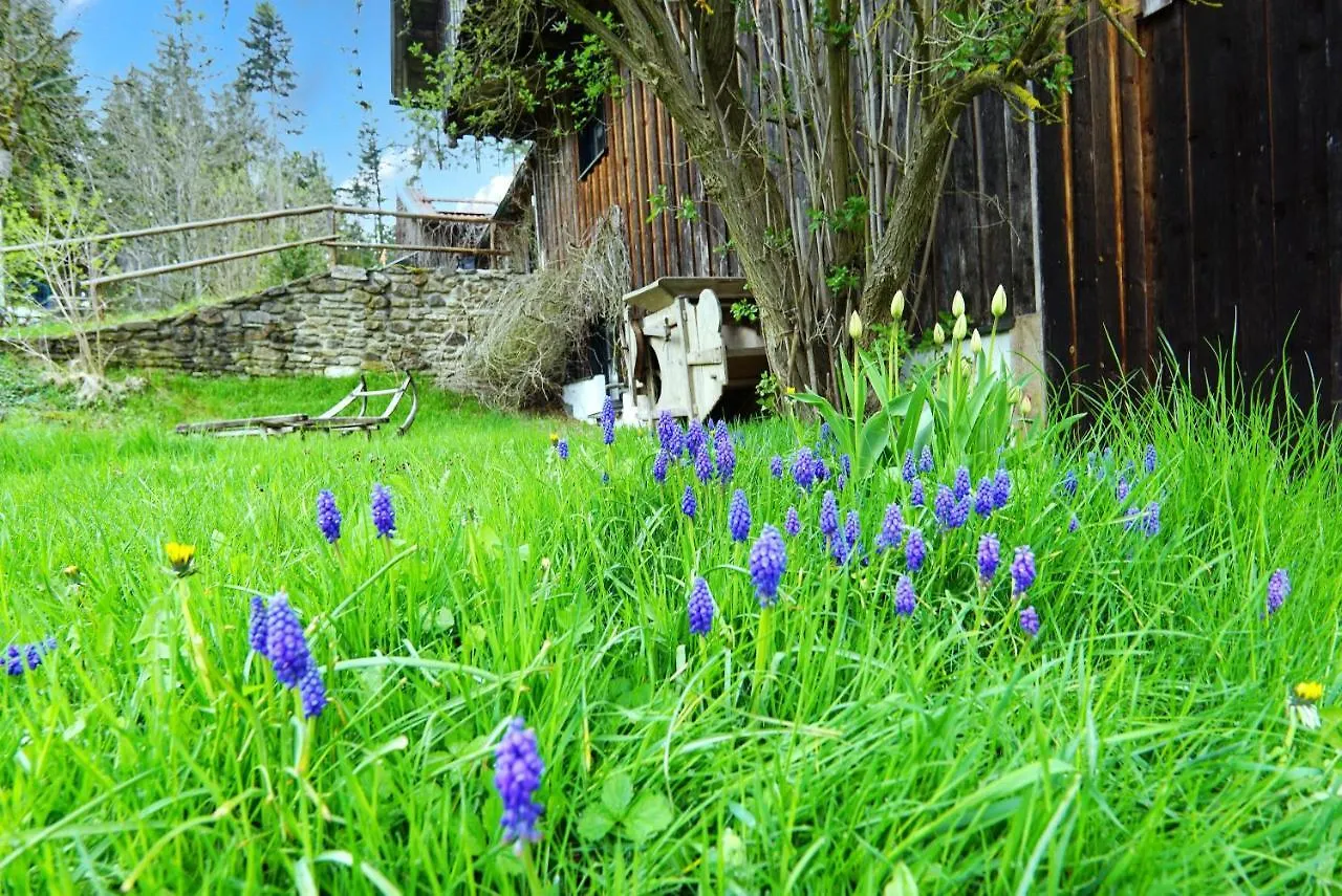 Country house Feriengut Zum Fuerst'N Guest House Eppenschlag